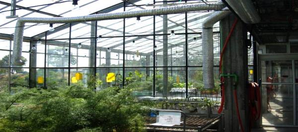 University of Jerusalem - Fitotron
