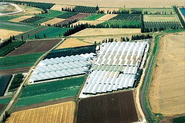 Agricultural Projects